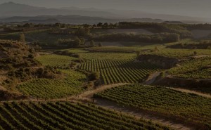 Vinos de Parcela Rioja Alavesa Lanciego